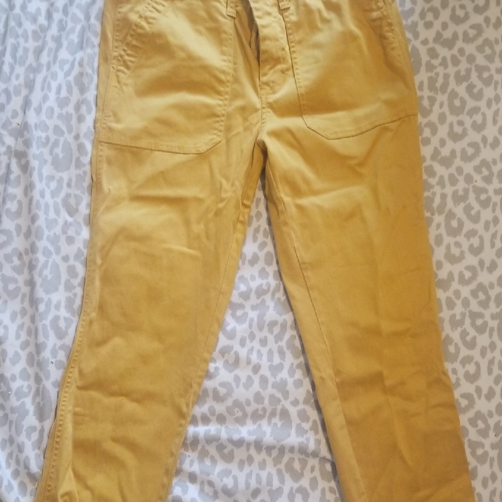 J. Crew Khaki Chinos Women Pants With Zippers Alongside the Ankles.